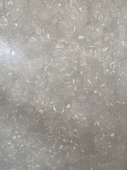 Sea Grass
